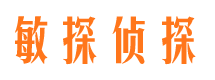 镇坪敏探私家侦探公司